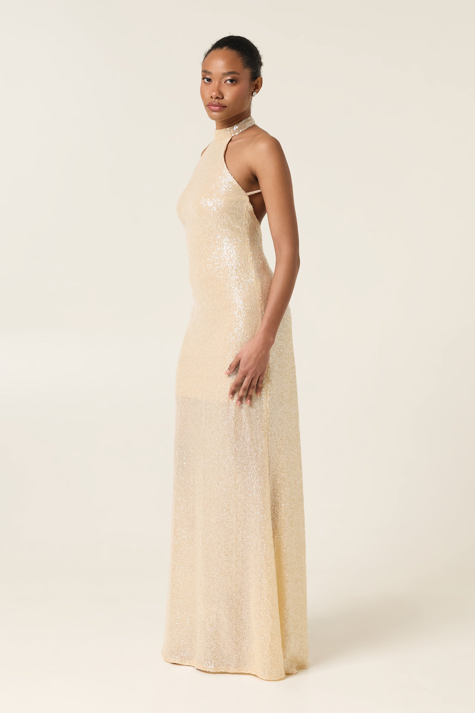 PEARL DUST MAXI SEQUINED DRESS