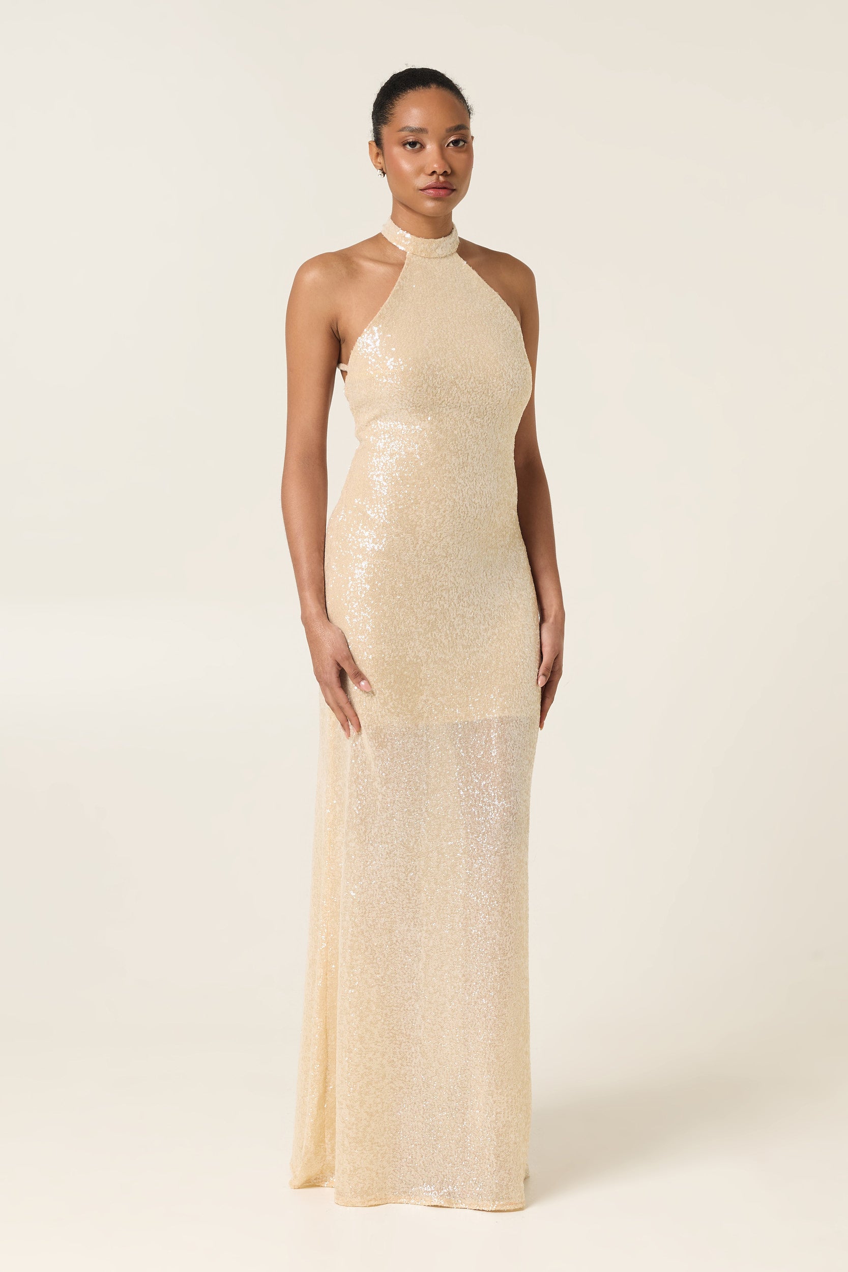 PEARL DUST MAXI SEQUINED DRESS